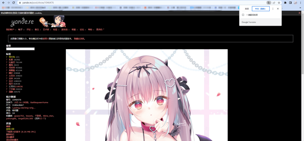 Yande.re是什么网站?Yande.re官网访问下载详细教程插图7 Yande.re是什么网站?Yande.re官网访问下载详细教程